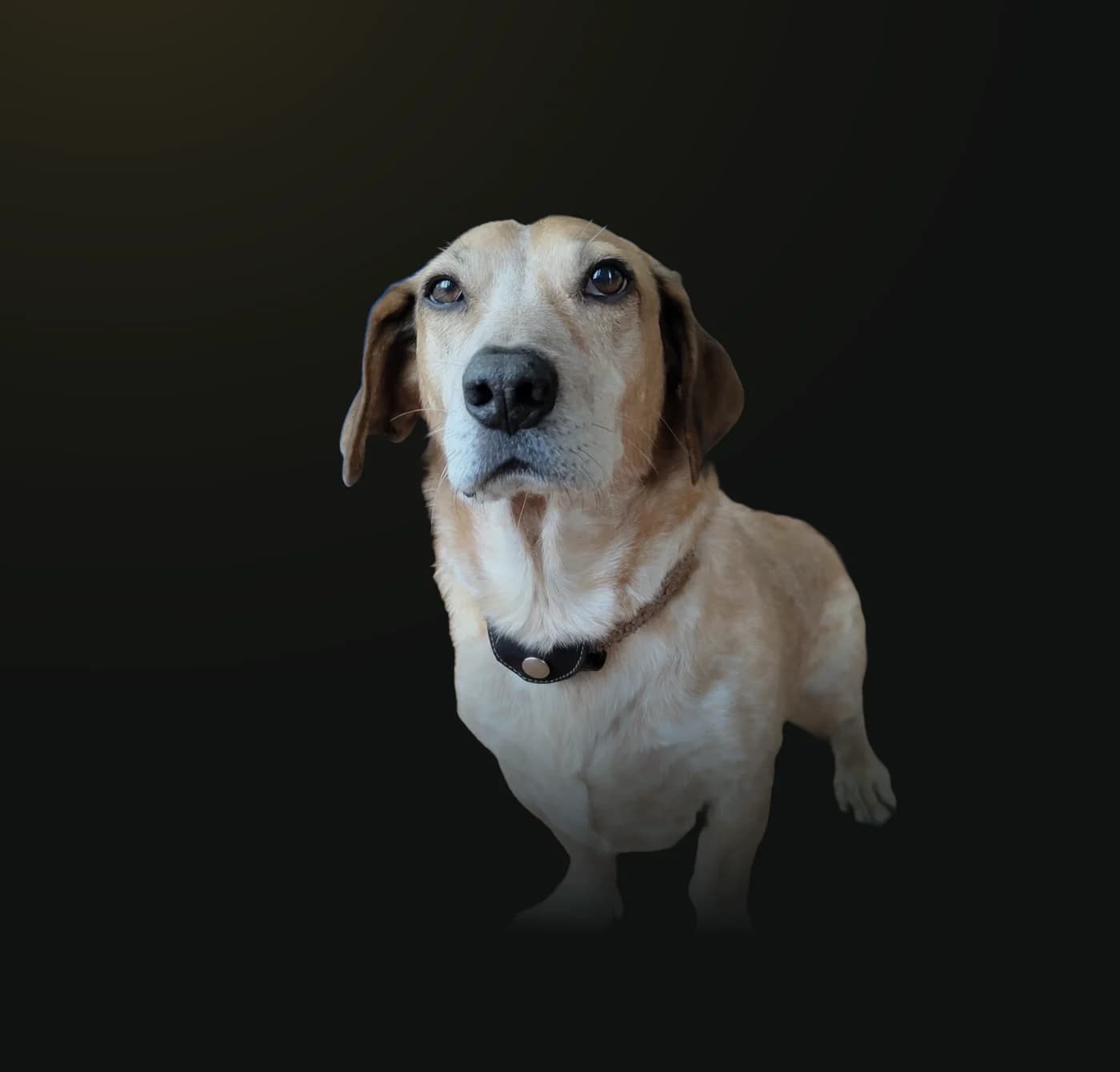 Ben